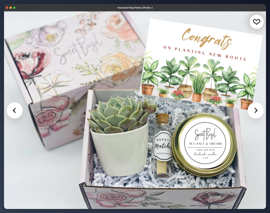Housewarming Plants Gift Box 2