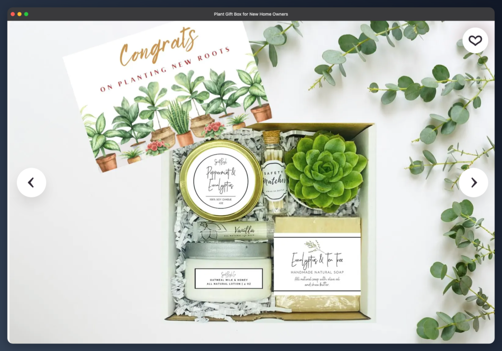 Plant Gift Box for New Home Owners