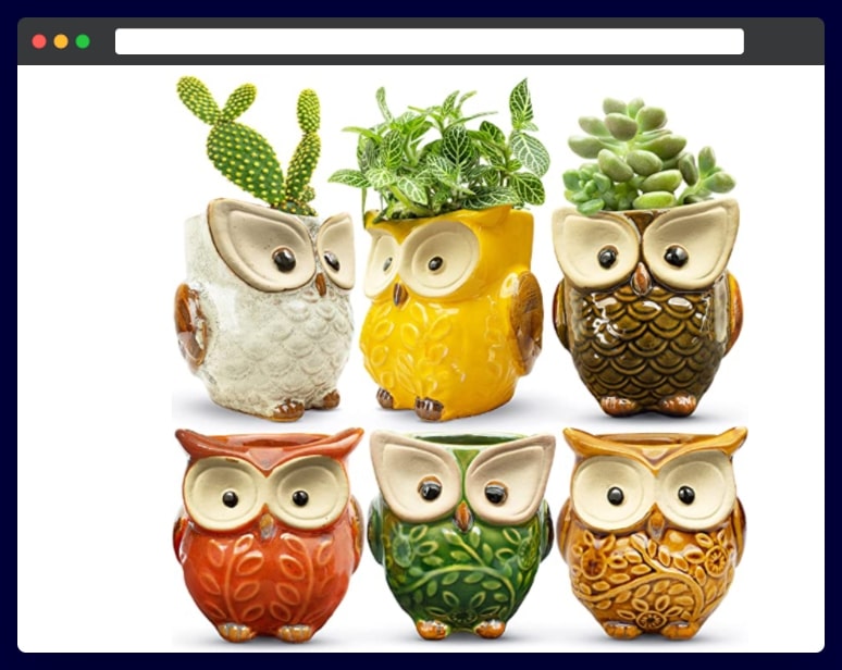 Owl Succulent Animal Planter Pot - 2.6 Inch - Set of 6 - Housewarming party favors
